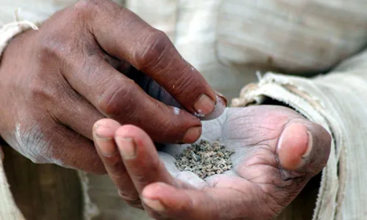 Shivakumar warns of ban on pan masala, gutka containing narcotic substances