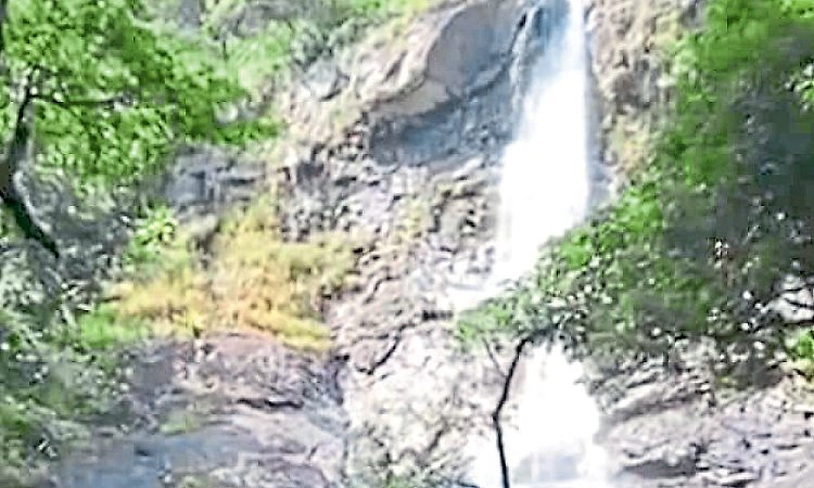 ಚಾರ್ಮಾಡಿ: ರಸ್ತೆ ಬದಿ ಜಲಧಾರೆಗಳು ನೀರಸ!
