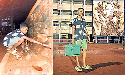 ಶಾಲೆಯ ಜೇನುಗೂಡು ತೆರವುಗೊಳಿಸಿದ 13ರ ಬಾಲಕ