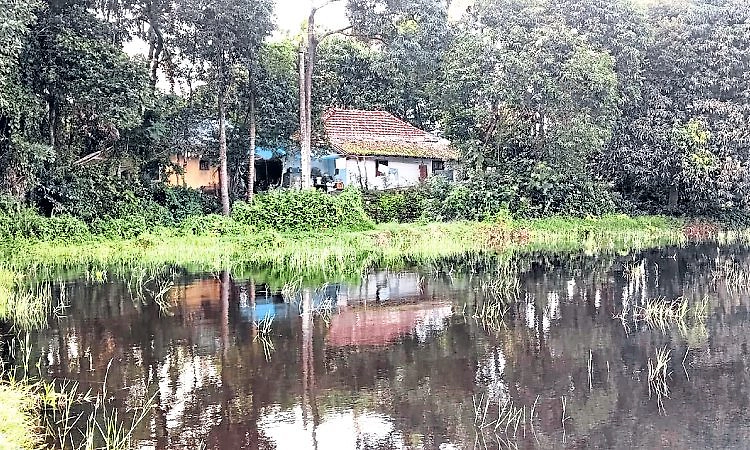 ಗದ್ದೆಗೆ ಮಣ್ಣು ತುಂಬಿಸಿದ್ದರಿಂದ ಕೃತಕ ನೆರೆ: ಮನೆ ದಾರಿ ಬಂದ್‌, ಕುಟುಂಬವೇ ಸ್ಥಳಾಂತರ