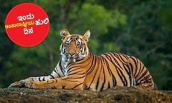 ಇಂದು ಅಂತಾರಾಷ್ಟ್ರೀಯ ಹುಲಿ ದಿನ: ಹುಲಿ ಸಂತತಿ ಉಳಿಯಲಿ, ಕಾಡು ಬೆಳೆಯಲಿ