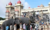 Mysuru Dasara: Insurance of Rs 7.80 crore for 39 personnel including mahouts and kavadigas