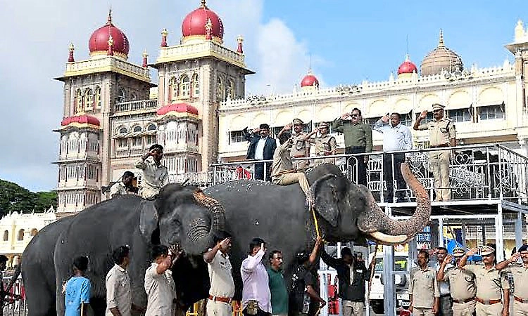 Mysuru Dasara: Insurance of Rs 7.80 crore for 39 personnel including mahouts and kavadigas