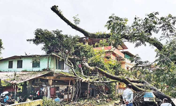 Heavy rain and winds damage garage near Kottara Chowki in Mangaluru