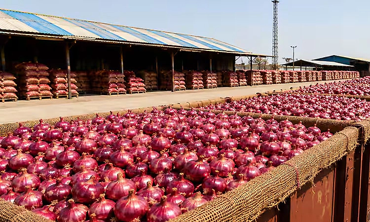 Kanda Express reaches Delhi with 453 tonnes of onions amid price rise