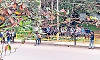 No proper bus shelter at Somantadka leaves students, public waiting by roadside