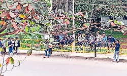 No proper bus shelter at Somantadka leaves students, public waiting by roadside