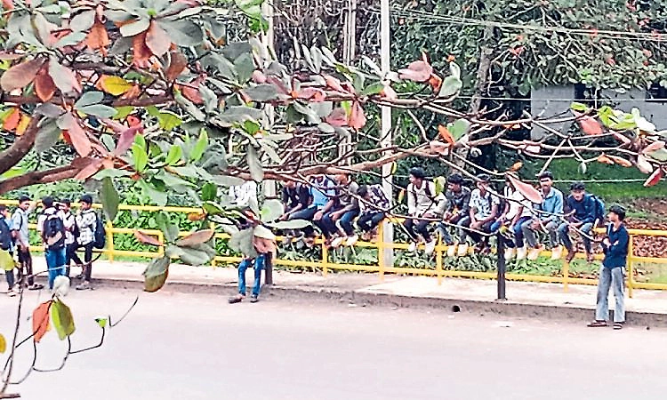 No proper bus shelter at Somantadka leaves students, public waiting by roadside