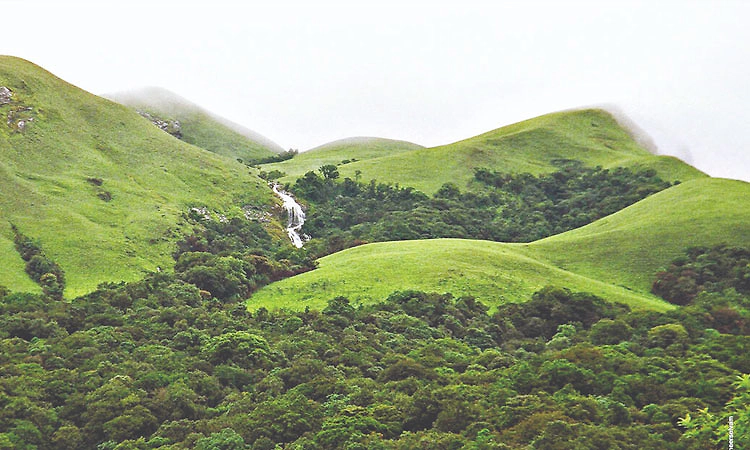 ಪಶ್ಚಿಮಘಟ್ಟ ಸಂರಕ್ಷಣೆ ಸಮತೋಲಿತ ನಡೆ ಅಗತ್ಯ