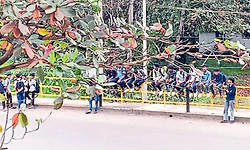 ಸೋಮಂತಡ್ಕ: ಬಸ್ ತಂಗುದಾಣ ಅಯೋಮಯ!