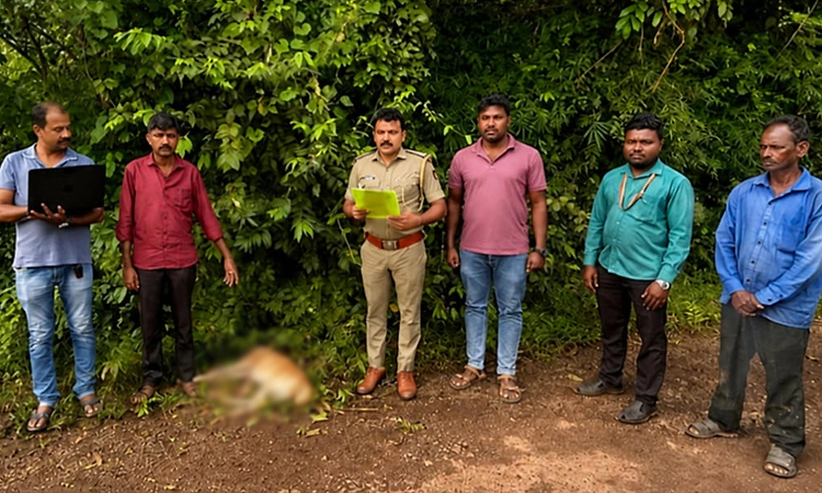 ಸಾಕು ನಾಯಿಯೊಂದಿಗೆ ಜಗಳವಾಡುತ್ತಿದ್ದ ಬೀದಿ ನಾಯಿಗೆ ಗುಂಡಿಟ್ಟು ಕೊಂದ ವ್ಯಕ್ತಿ