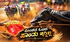 Kambala legend: ಹುಟ್ಟಿದ ಜನ್ಮ ಕೋಣವಾದರೂ ಸಾಧನೆಯಿಂದ ಧ್ರುವತಾರೆಯಾದ ಪಾಂಡು