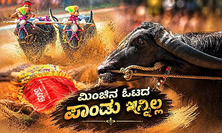 Kambala legend: ಹುಟ್ಟಿದ ಜನ್ಮ ಕೋಣವಾದರೂ ಸಾಧನೆಯಿಂದ ಧ್ರುವತಾರೆಯಾದ ಪಾಂಡು
