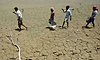 ಕೇಂದ್ರದ 3 ತಂಡದಿಂದ 12 ಜಿಲ್ಲೇಲಿ ಬರ ಅಧ್ಯಯನ  