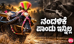 ಕಂಬಳ ಕ್ಷೇತ್ರದ ಲೆಜೆಂಡ್‌ ಕೋಣ ಪಾಂಡು ಇನ್ನಿಲ್ಲ!