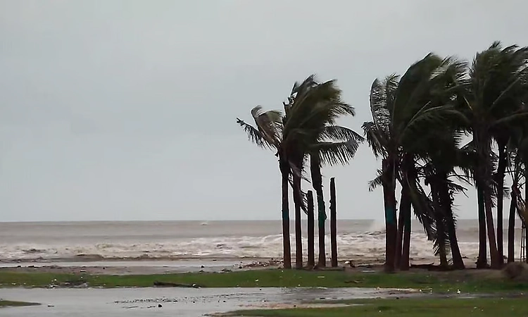 Cyclone 'Montha' intensifies into severe cyclonic storm: Met dept