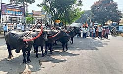 ಬೆಂಬಲ ಬೆಲೆ ಖರೀದಿ ಕೇಂದ್ರ ಪ್ರಾರಂಭಿಸುವಲ್ಲಿ ವಿಳಂಬ ಖಂಡಿಸಿ ಜಿಲ್ಲಾ ಬಿಜೆಪಿಯಿಂದ ಪ್ರತಿಭಟನೆ
