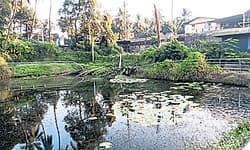 Mangaluru: ನಾಮಾವಶೇಷಗೊಳ್ಳುವ ಭೀತಿಯಲ್ಲಿ ಜೆಪ್ಪು ಶೆಟ್ಟಿಬೆಟ್ಟು ಮೊಲಿ ಕೆರೆ