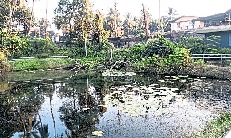 Mangaluru: ನಾಮಾವಶೇಷಗೊಳ್ಳುವ ಭೀತಿಯಲ್ಲಿ ಜೆಪ್ಪು ಶೆಟ್ಟಿಬೆಟ್ಟು ಮೊಲಿ ಕೆರೆ