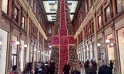 Rome city: ಥಳ ಥಳಿಸುತ್ತಿದೆ ರೋಮ್‌ ನಗರ-ಕಾರಂಜಿ ಲೋಕ