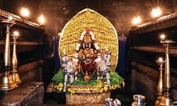 ದೇವರ ಪುಷ್ಪಾಲಂಕಾರ; ಇಂದಿನ ಫೋಟೋ ಆಲ್ಬಂ