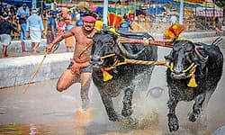 Kambala Record: ಅತೀ ವೇಗದ ಓಟ..: ಸಾರ್ವಕಾಲಿಕ ಕಂಬಳ ದಾಖಲೆ ಮುರಿದ 80 ಬಡಗಬೆಟ್ಟು ಕೋಣಗಳು