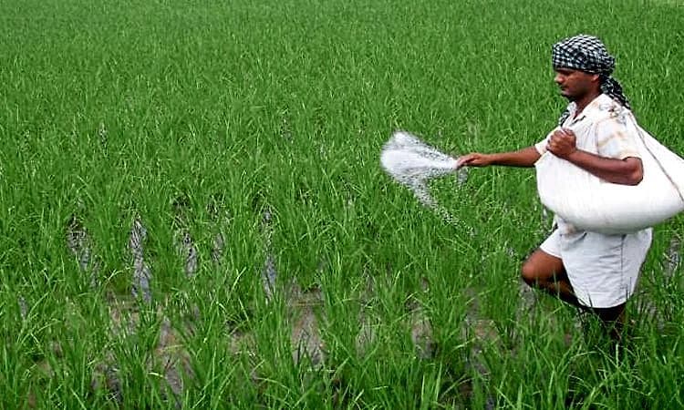 Crop insurance payment: ರೈತರ ಮೊರೆ ಇನ್ನೂ ಆಲಿಸದ ಇಲಾಖೆ