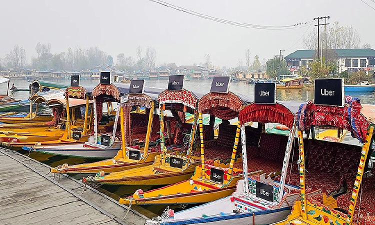 Kashmir you beauty UAE-based influencer posts heartfelt ode to snow-draped Valley