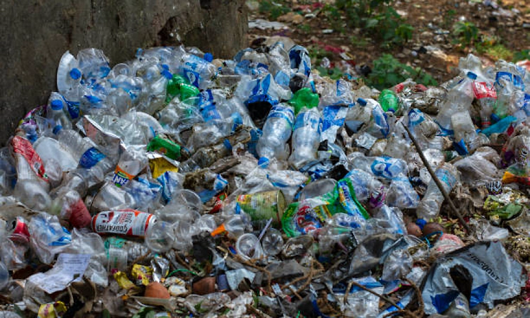 'Hasiru Samvada' campaign launched to curb plastic pollution in coastal Karnataka