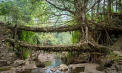 'Asia's cleanest village' in Meghalaya to be closed to tourists on Sundays