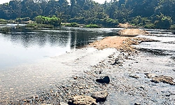 Kadaba: ಕೋರಿಯಾರ್‌ ಸೇತುವೆ ನನೆಗುದಿಗೆ