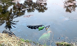  Five killed, two injured in separate accidents in Sindhanur