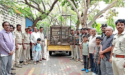 Three injured after monkeys attack in Gangavathi, forest team captures animals