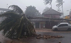 7 ಜಿಲ್ಲೆಗಳಲ್ಲಿ ಅಕಾಲಿಕ ವರ್ಷಧಾರೆ: ಸಿಡಿಲು ಬಡಿದು ಐವರಿಗೆ ಗಾಯ