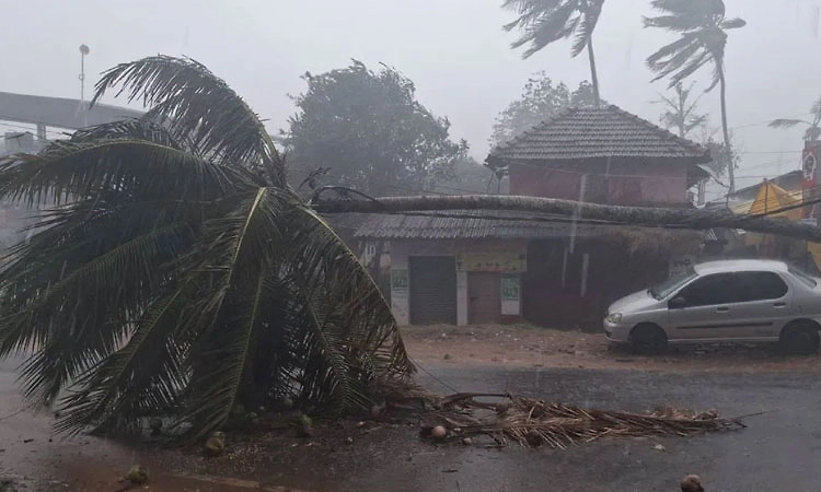 7 ಜಿಲ್ಲೆಗಳಲ್ಲಿ ಅಕಾಲಿಕ ವರ್ಷಧಾರೆ: ಸಿಡಿಲು ಬಡಿದು ಐವರಿಗೆ ಗಾಯ