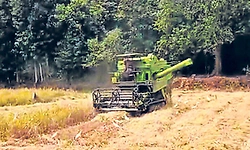 Karkala: ಹಿಂಗಾರು ಭತ್ತದ ಕೃಷಿ ಕೊಯಿಲು ಆರಂಭ