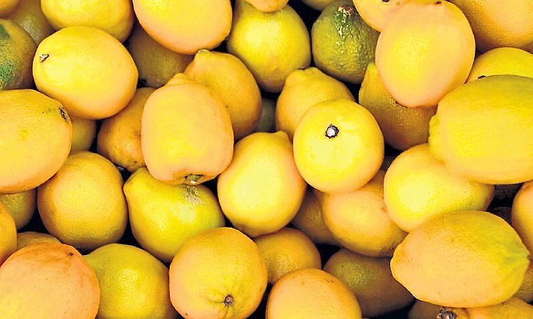 Bajpe: ಬಿಸಿಲ ಧಗೆ: ಲಿಂಬೆ ದರ ಏರಿಕೆ!