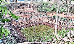 Kumble: ನಿರ್ವಹಣೆ ಇಲ್ಲದೆ ಮೂಲೆಗುಂಪಾದ ಕಡಿಯಂ ಕುಳ ಕೆರೆ