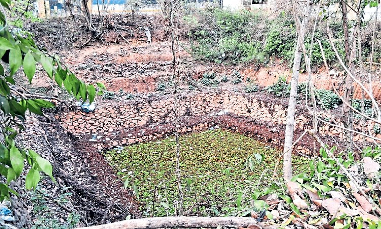 Kumble: ನಿರ್ವಹಣೆ ಇಲ್ಲದೆ ಮೂಲೆಗುಂಪಾದ ಕಡಿಯಂ ಕುಳ ಕೆರೆ