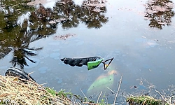 Sindhanur: ಪ್ರತ್ಯೇಕ ಅಪಘಾತಗಳಲ್ಲಿ ಐವರ ಸಾವು