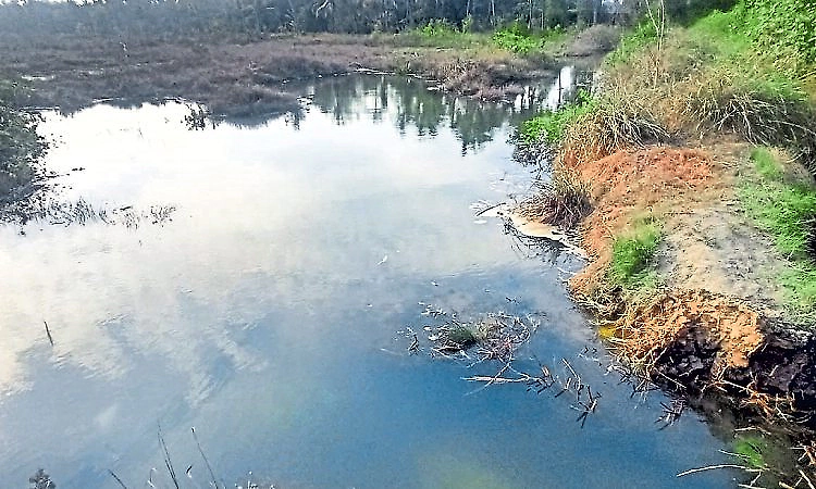 Kodi: Salt water incursion hits wells and fields