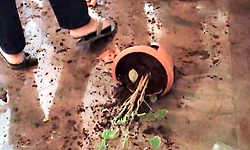 Shimoga: ಕುವೆಂಪು ವಿವಿ ಕುಲಪತಿಗಳ ವಿರುದ್ದ ವಿದ್ಯಾರ್ಥಿಗಳ ಆಕ್ರೋಶ