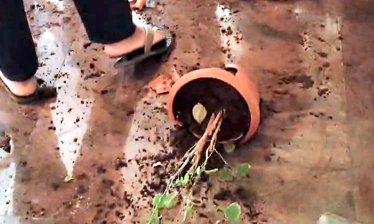 Shimoga: ಕುವೆಂಪು ವಿವಿ ಕುಲಪತಿಗಳ ವಿರುದ್ದ ವಿದ್ಯಾರ್ಥಿಗಳ ಆಕ್ರೋಶ