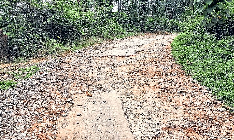ಪಂಜಿಗಾರು-ಕಾಣಿಯೂರು ರಸ್ತೆ ಹೊಂಡಾಗುಂಡಿ
