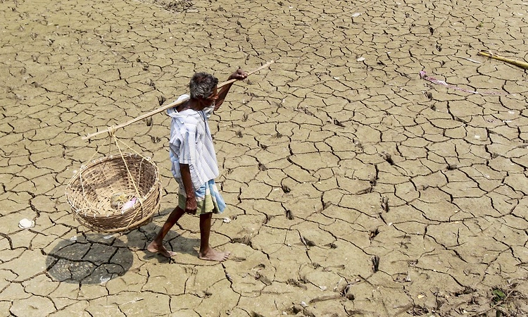 Think it's hot now? The next five years will smash records: UN