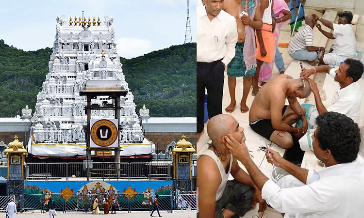 ತಿರುಪತಿ: ಮೇ ತಿಂಗಳಿನಲ್ಲಿ 12 ಲಕ್ಷಕ್ಕೂ ಅಧಿಕ ಭಕ್ತರಿಂದ ತಿರುಮಲದಲ್ಲಿ ಮುಡಿ ಸಮರ್ಪಣೆ! 