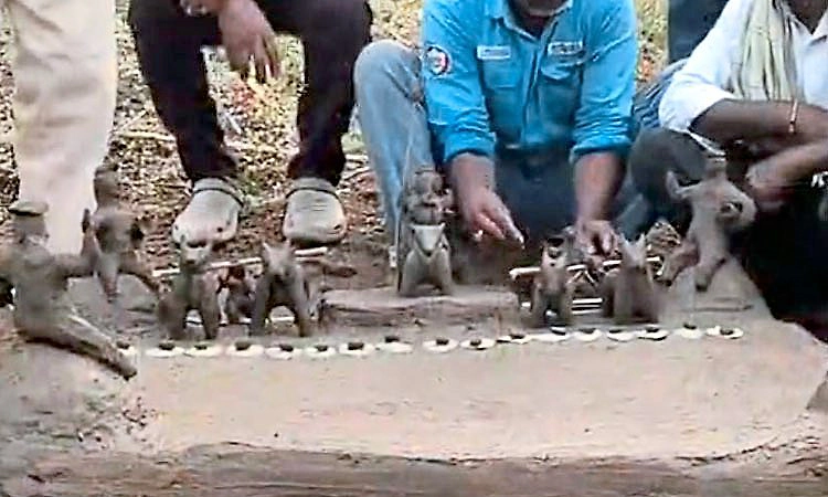 Dharwad: ನಿಜವಾಯ್ತು ಯುಗಾದಿ ಗೊಂಬೆ ಭವಿಷ್ಯ: ಡಿಕೆಶಿ ಸಿಎಂ, ಸಿದ್ದು ಪದತ್ಯಾಗ