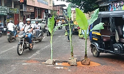 Locals plant banana sapling in Karkala pothole to protest administrative negligence