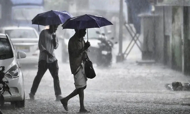 ಕೊನೆಗೂ ಮುಂಗಾರು ಮಳೆ ಚುರುಕು: ಹೊನ್ನಾವರದಲ್ಲಿ 10 ಸೆಂ.ಮೀ. ಮಳೆ