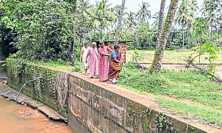 Mullikatte: ಸೇತುವೆ ತಡೆಗೋಡೆಗೆ ಬೇಕು ಸುರಕ್ಷೆಯ ಕಂಬ